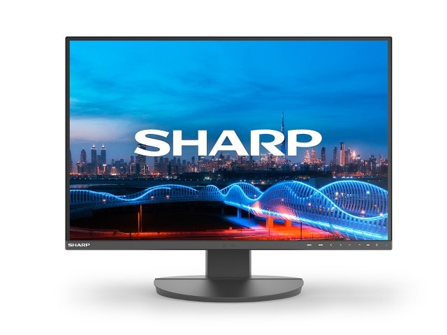 Sharp MultiSync<sup>®</sup> EA241W