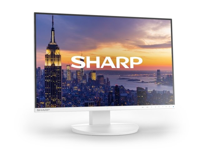 EA242W_angle_right_screen_1600x1200