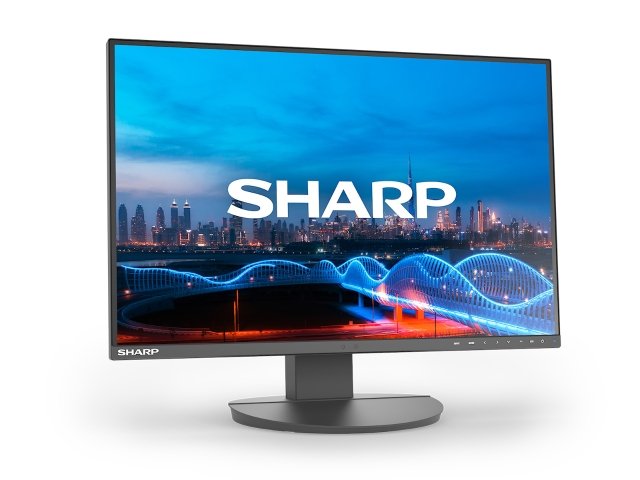 EA241W_angle_right_screen_BK_1600x1200